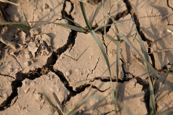 No relief in sight as drought hits north