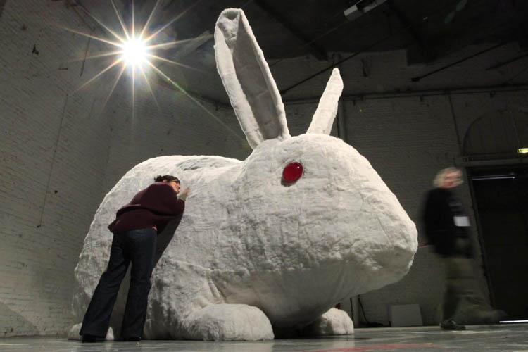 Snapshots: The world in 24 hours Jan 20