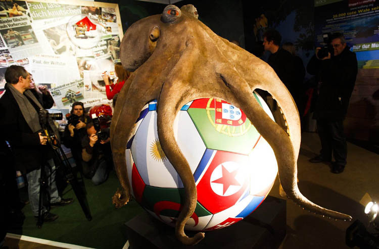 Snapshots: The world in 24 hours Jan 20