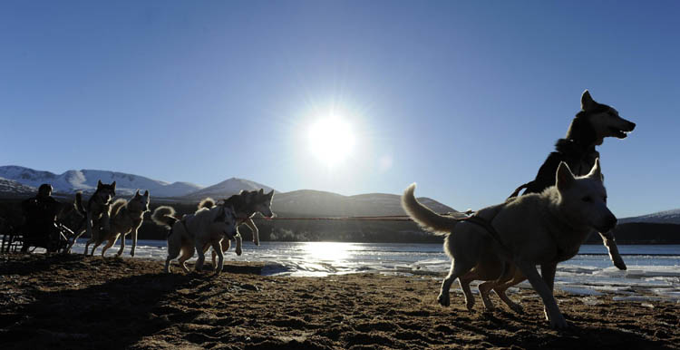 Snapshots: The world in 24 hours Jan 20