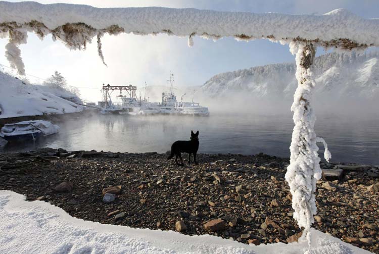 Snapshots: The world in 24 hours Jan 21