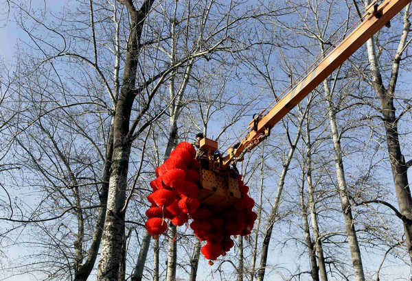 Trees decorated in red to greet Chinese New Year