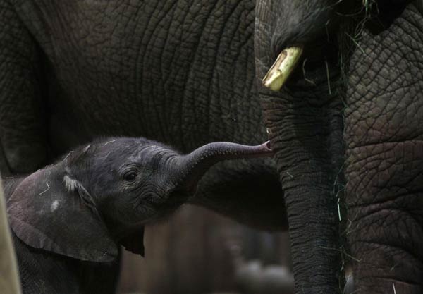 Snapshots: The world in 24 hours Jan 24
