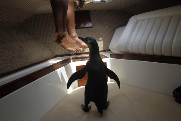 Snapshots: The world in 24 hours Jan 26