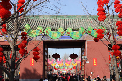 Spring Festival photos from readers [Part III]