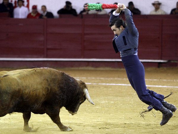 Bull fighting in Ecuador