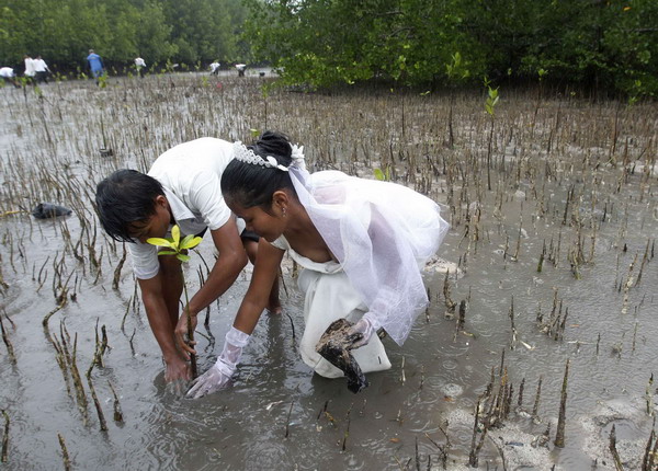 Couples fall in love with nature on Valentine's Day