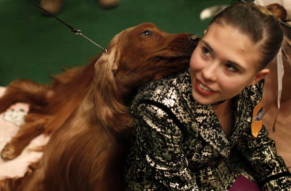 135th Westminster Kennel Club Dog Show