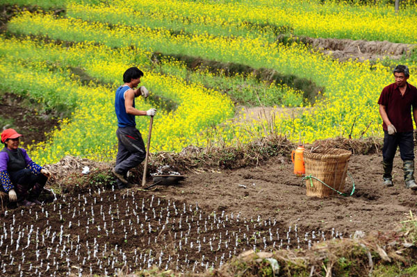 Spring farming dawns in SW China