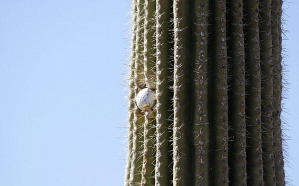 Snapshot: The world in 24 hours Feb 21