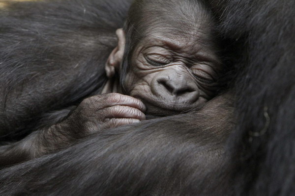 Snapshots: The world in 24 hours March 2