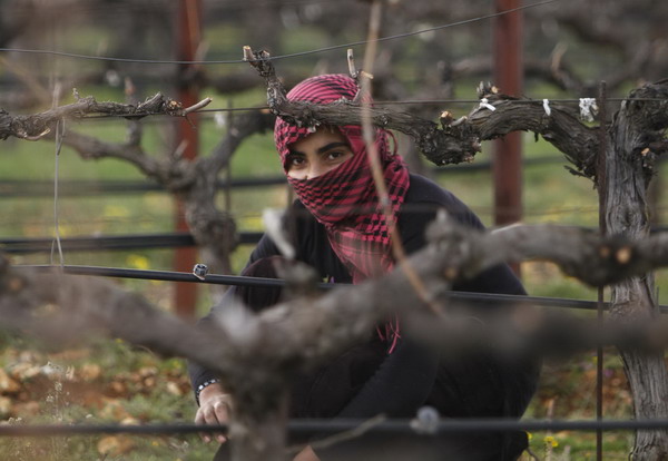 Snapshots: the world in 24 hours March 7
