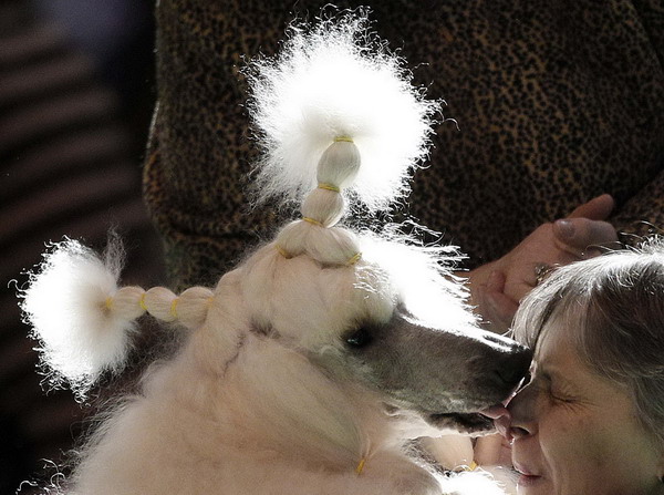 Snapshot: the world in 24 hours March 13