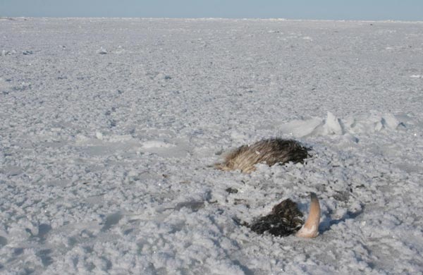 Snapshots: the world in 24 hours, March 22