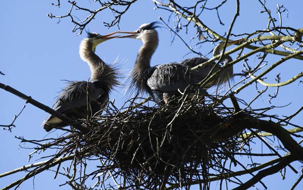 Snapshots: the world in 24 hours, March 23