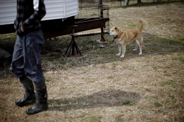 Pets get medical care after surviving quake