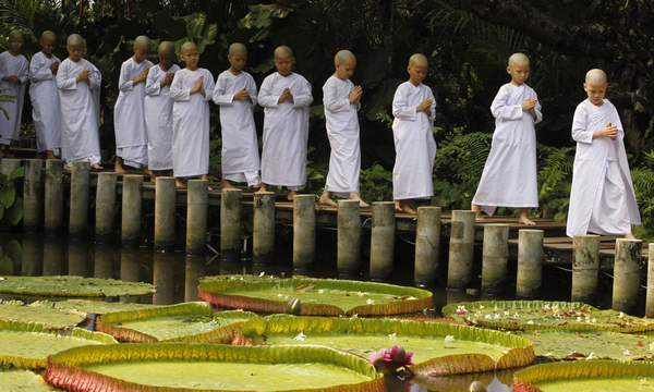 Novice Thai nuns