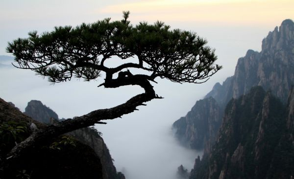 Seas of clouds appear at Huangshan Mountain