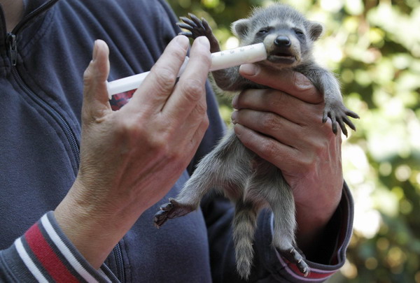 Snapshots: the world in 24 hours, April 18
