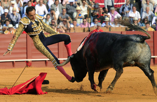Bullfight in Spain