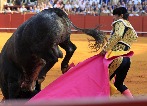 Bullfight in Spain