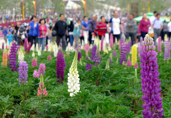 Xi'an Horticultural Expo 2011