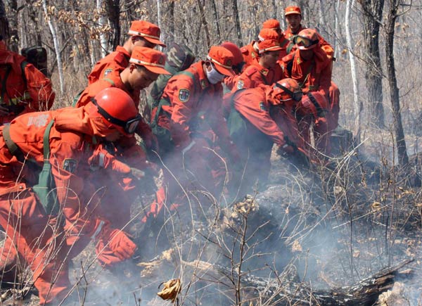 Forest fire in NE China under control