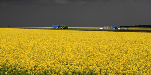 Snapshots: The world in 24 hours May 6, 2011