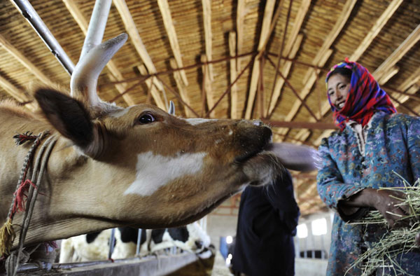 Increasing Tibet's wealth in a green way