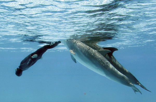 Italian tries setting new apnea diving record
