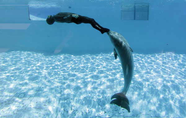 Italian tries setting new apnea diving record