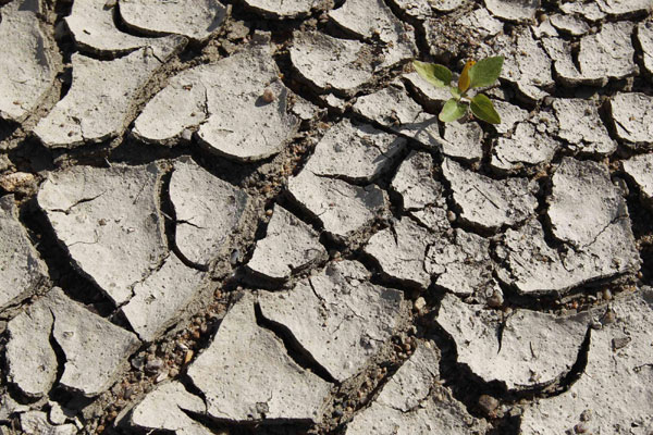 France's Loire River dries up