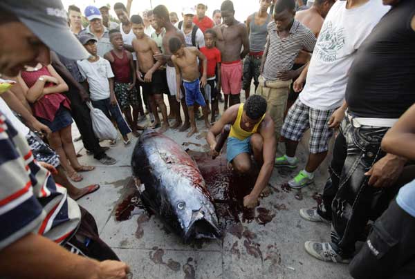 Snapshots: The world in 24 hours, May 20