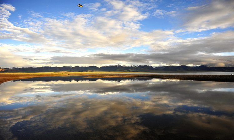 Photorapher: Tracy Jacks