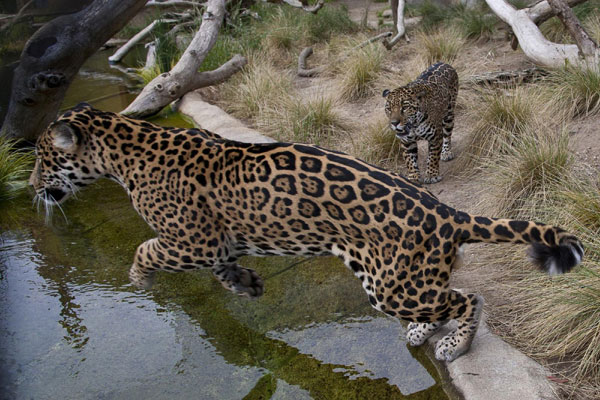 Snapshots: The world in 24 hours, May 26