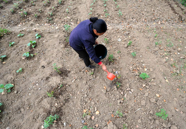 Severe drought ravages Central and East China