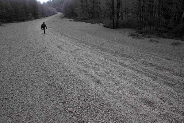 Volcano's fallen ash carpets the land