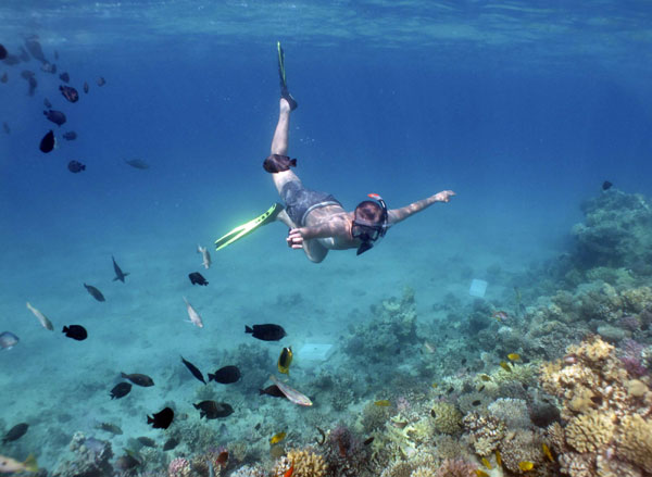 swimming with fish