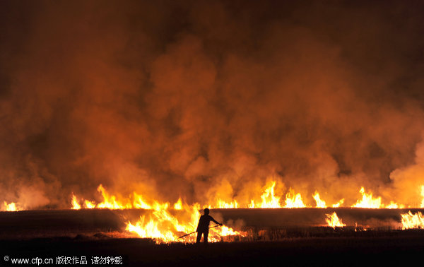 Fires rage in wheat fields after harvest