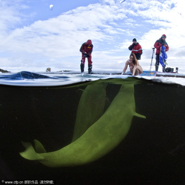 That's a fine pair of belugas