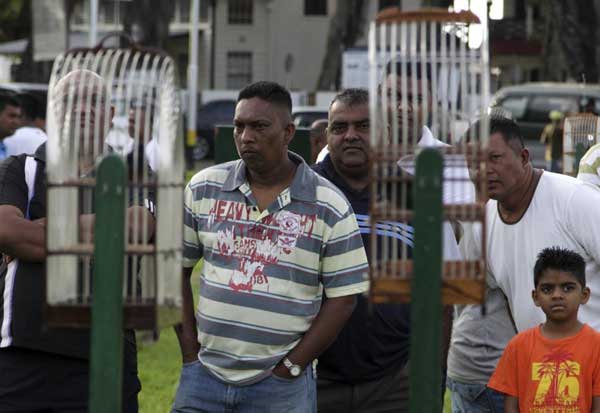 Bird singing competition in Surinam