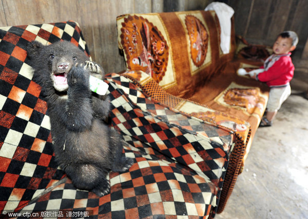 Farmer helps with the bear necessities of life