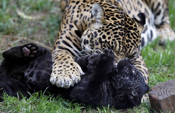 Snapshots: the world in 24 hours, June 24