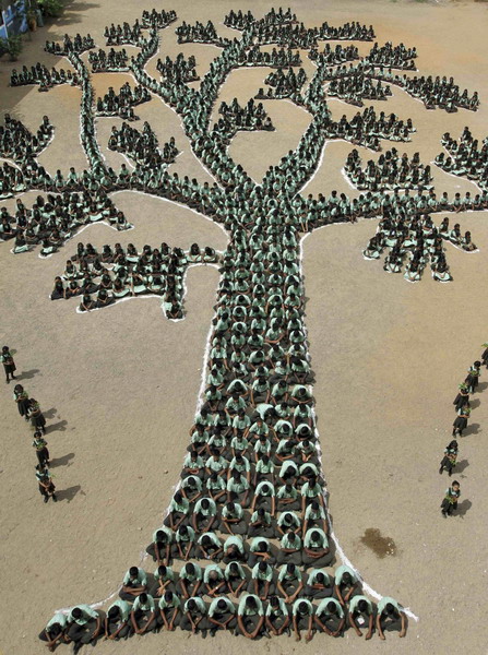 Save trees, say Indian students