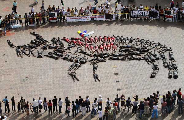 Anti-bullfighting protest in Colombia