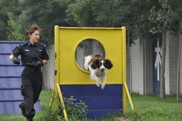 Police dogs show off their skills