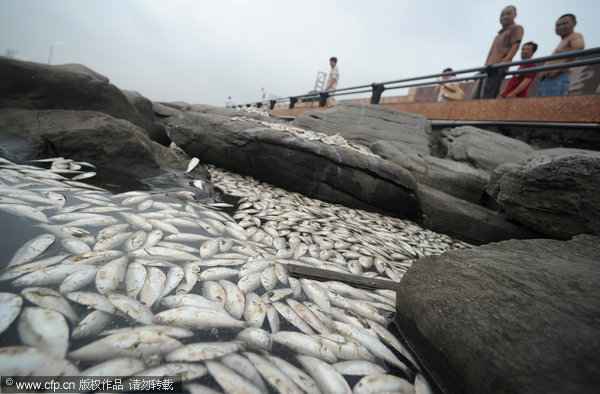 Mass of dead fish found in N China city