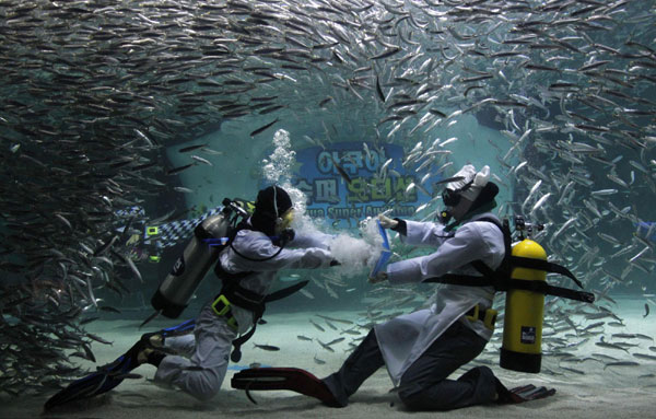 Perform Taekwondo amid sardines