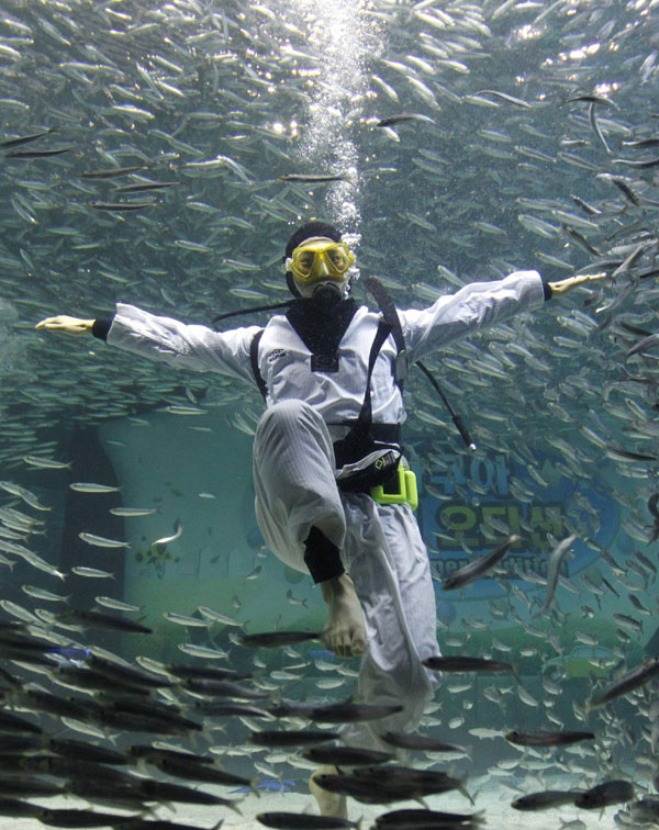 Perform Taekwondo amid sardines