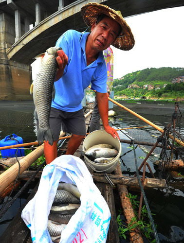 River users battle invasive water hyacinth